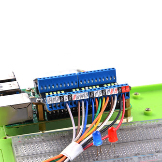 GeeekPi Carte D'Extension GPIO Raspberry Pi Avec Bornes à Vis Micro - Module Breakout Board Pour Raspberry Pi 4B/3B+/3B/2B